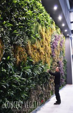 Murs végétaux artificiels