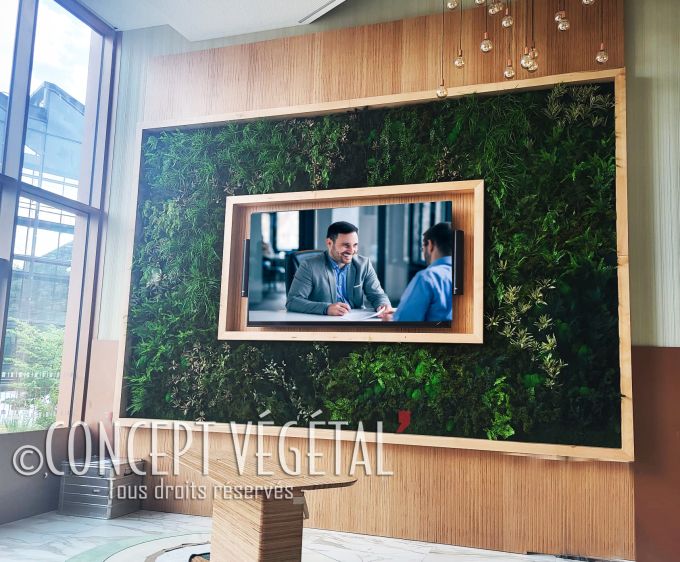 Grand mur végétal intérieur dans un cadre en bois clair avec un téléviseur intégré dans un caisson au milieu