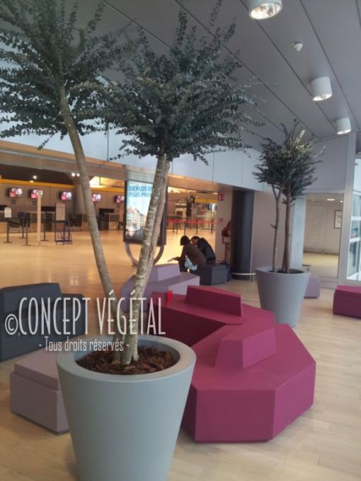 Un arbre sur mesure dans l'aéroport avec un tronc naturel et du feuillage eucalyptus stabilisé naturel pour un effet saisissant de naturel avec l'assurance d'avoir un rendu toujours frais et vivant sans entretien .