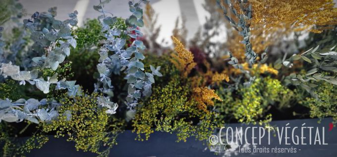 Petites plantes colorées stabilisées dans une jardinière longue en bois rainuré