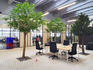 Vue d'ensemble de bureaux avec des arbres majestueux 